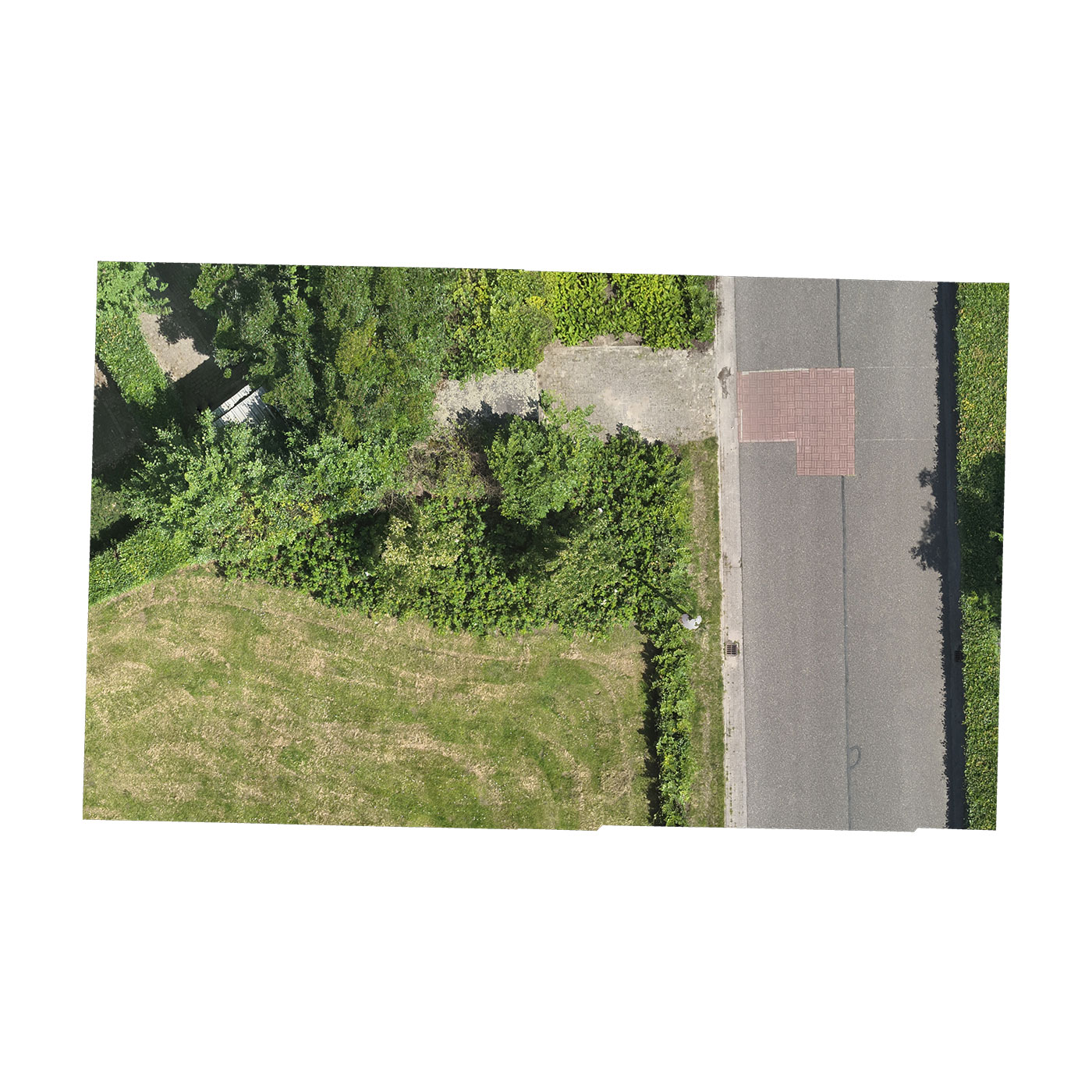 liander-03